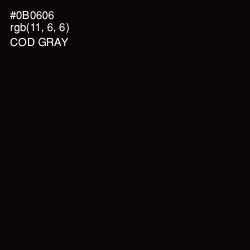 #0B0606 - Cod Gray Color Image
